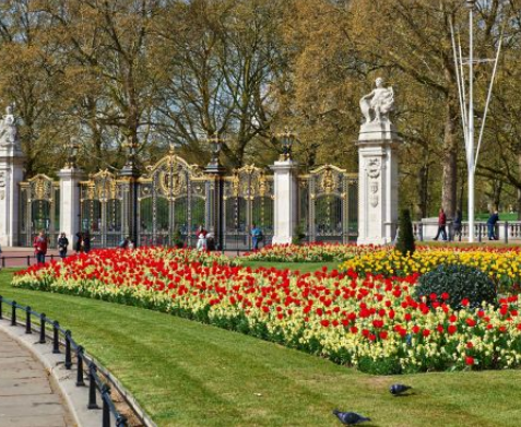 A photo of bright flower beds, located at Green Park.