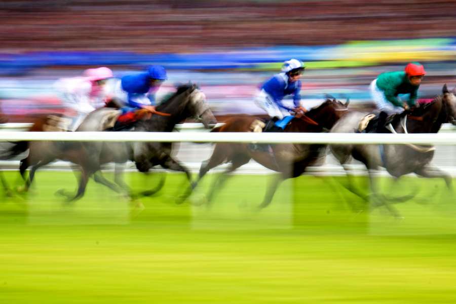 Horse races at The Grand National