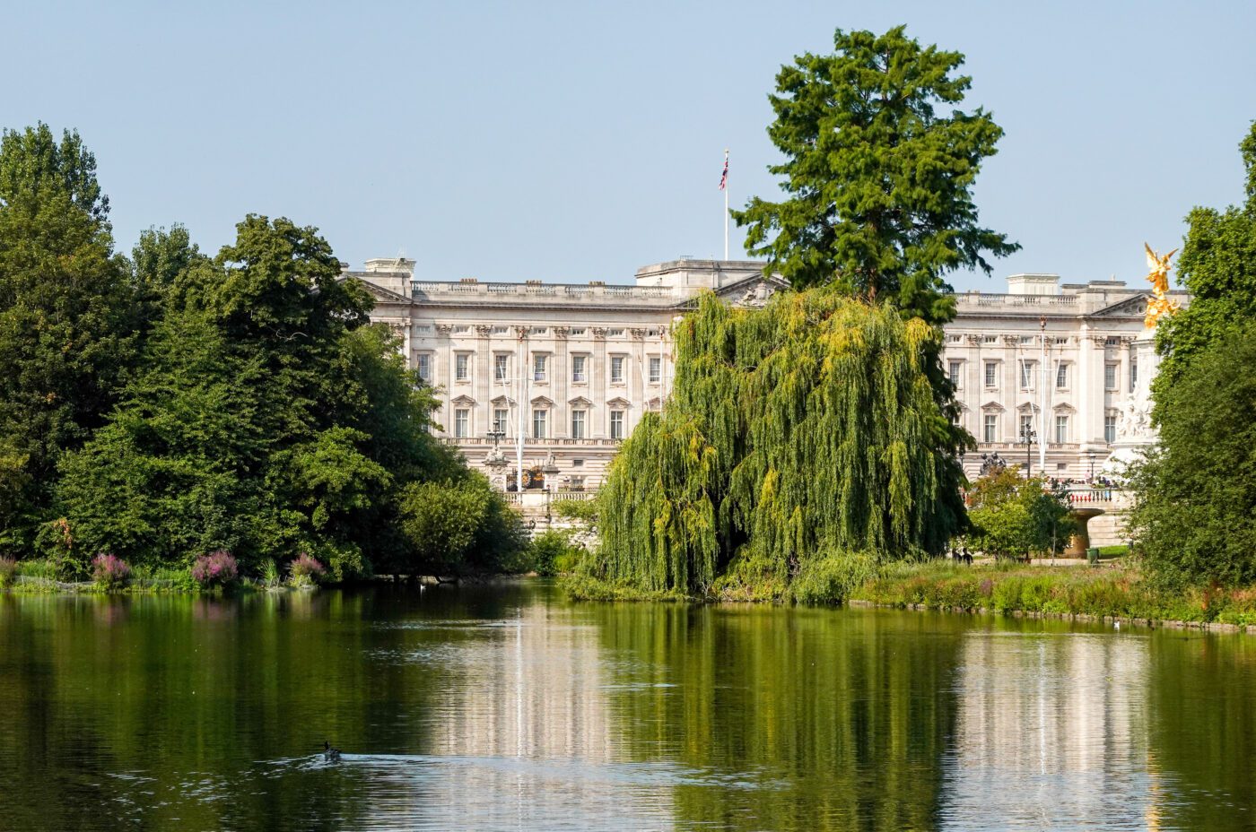 Buckingham Palace viewed from across a pond surrounded by lush green trees and reflected in the calm water on a sunny day.