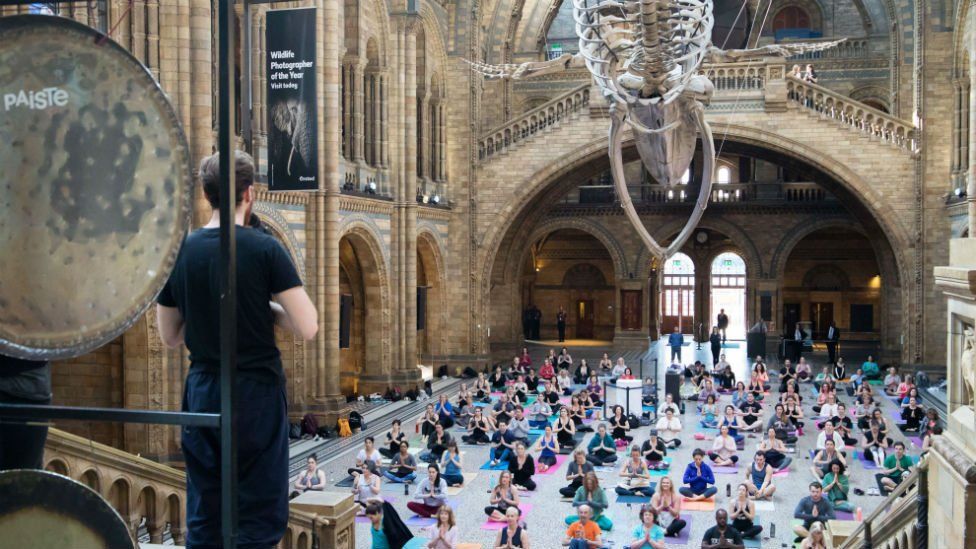 Several people learning yoga in the front hall of the Natural History Museum