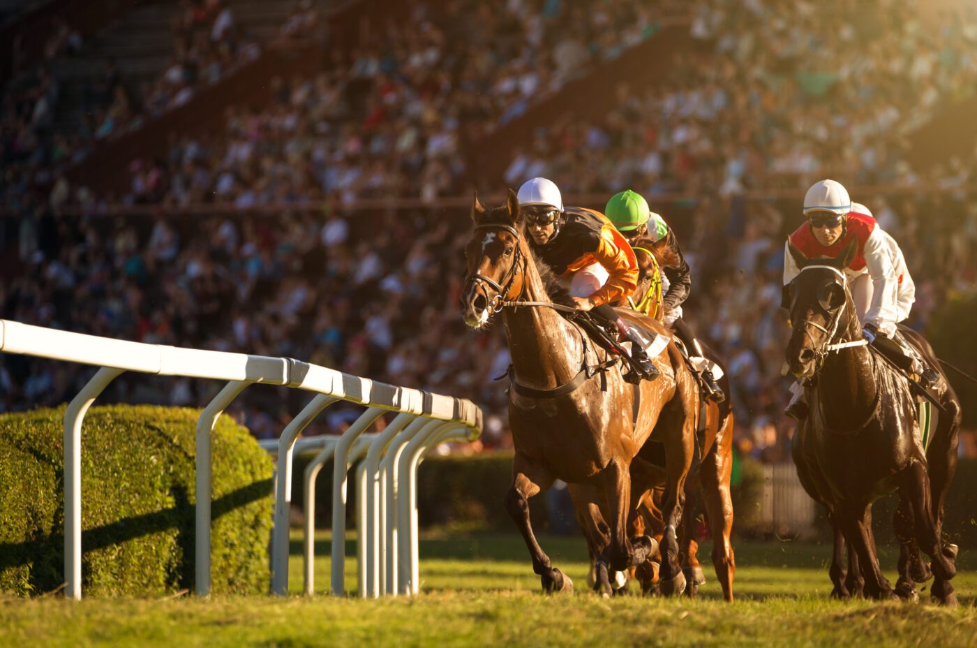 Two jockeys in colorful uniforms race their horses on a track reminiscent of the Grand National, surrounded by green hedges. Spectators fill the stands in the background, illuminated by the warm sunlight.