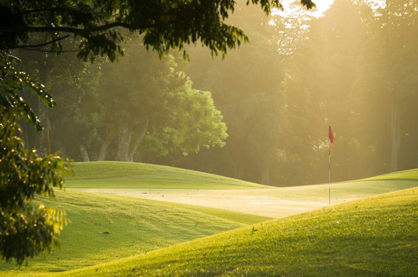 A golf course lit by soft, golden sunlight with lush green grass, a red flag marking the hole, and tall trees in the background under a misty, tranquil morning atmosphere at the Liverpool Open.