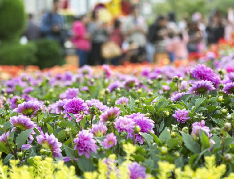 Floral Display at the Chelsea Flower Show London