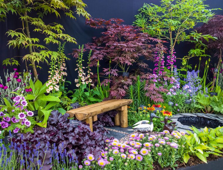 Showing a flower display at Chelsea Flower Show London