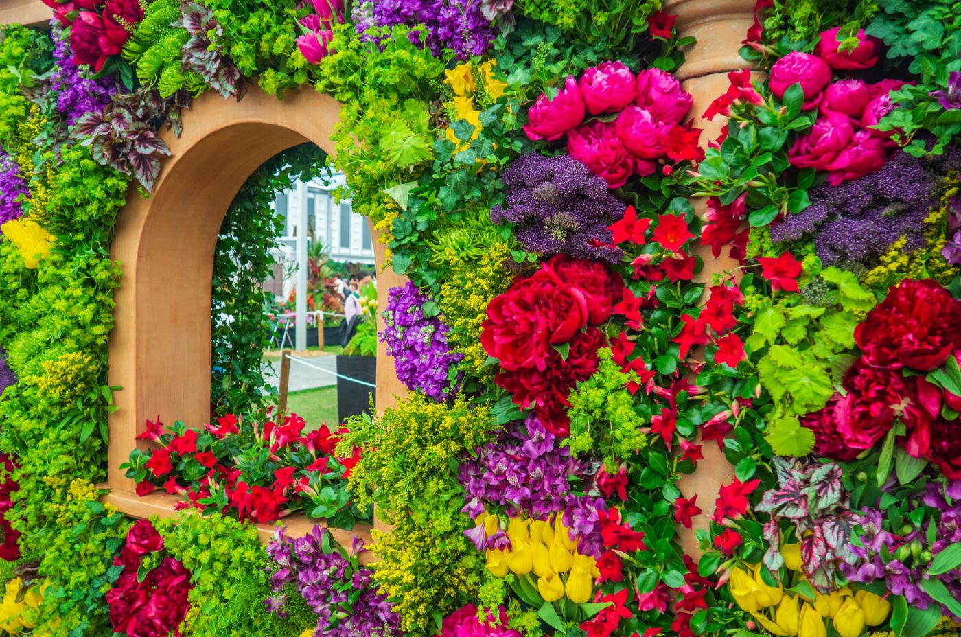 Beautiful variegated compositions of plants and flowers at the RHS Chelsea Flower Show London