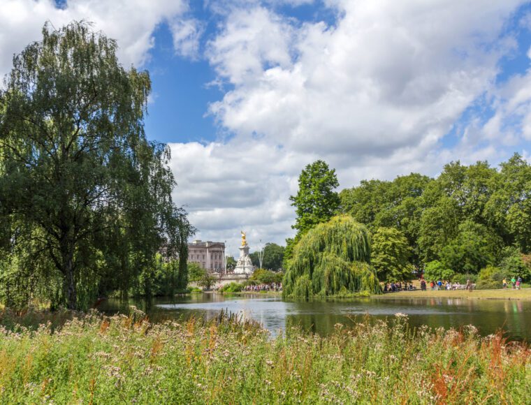 Buckingham Palace view from St James' Park in London, UK