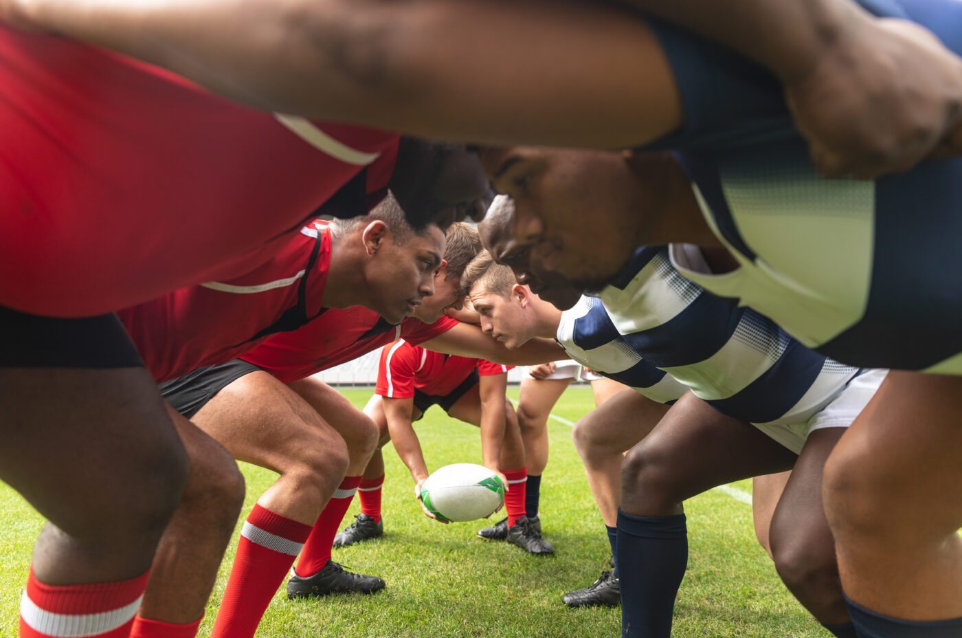 Two rugby teams face each other in a scrum formation on a grassy field. One team wears red uniforms and the other wears blue and white stripes. A rugby ball is centered on the ground between them.