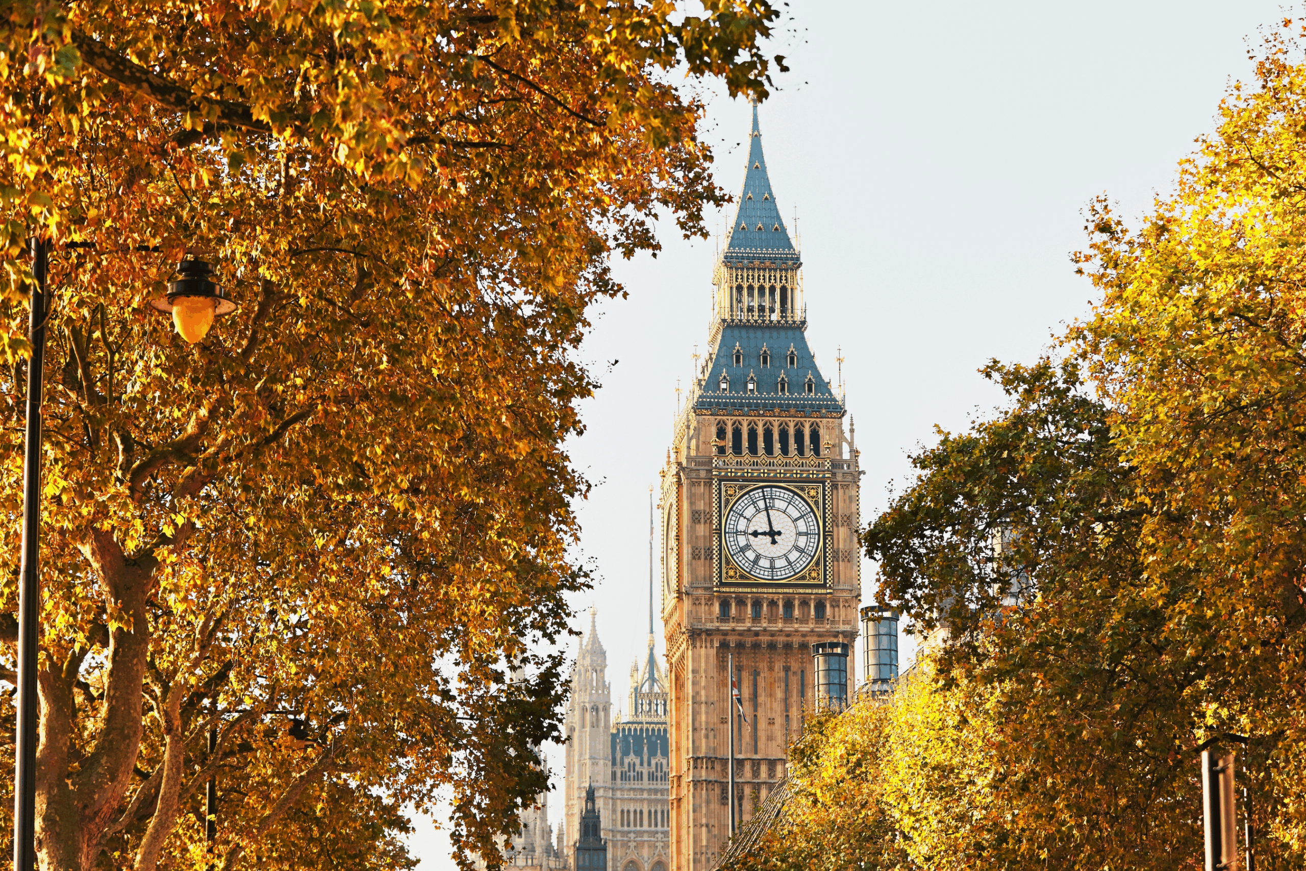 Big Ben clock tower in London framed by autumn trees with golden leaves, under a clear sky.
