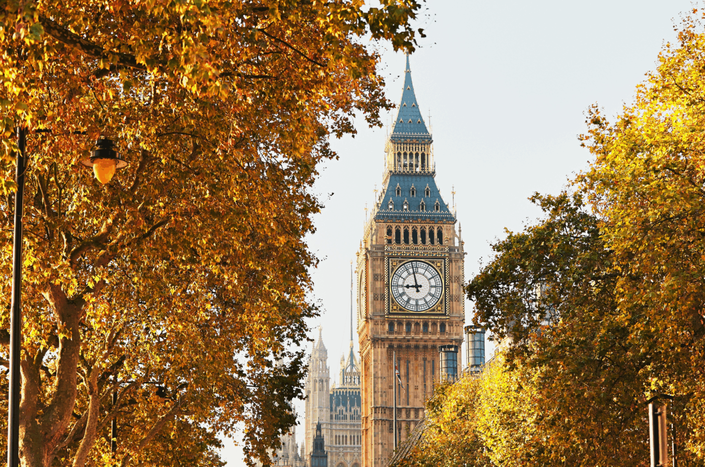 Big Ben clock tower in London framed by trees with autumn leaves, under a clear sky.