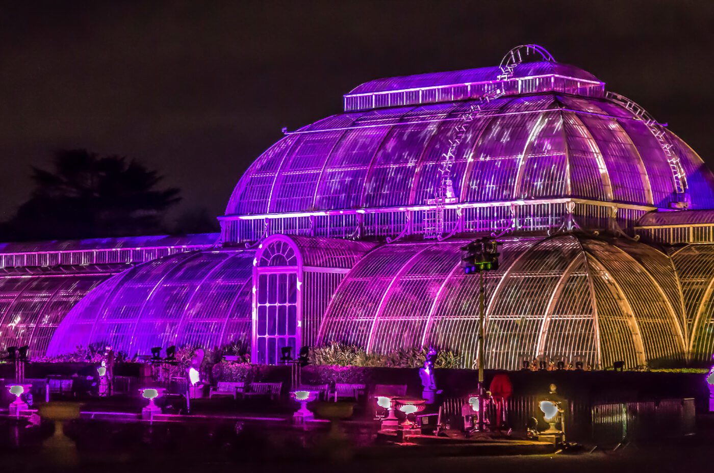 A large glass greenhouse near Regent's Park Theatre is brightly illuminated with purple and pink lights at night, creating a vibrant and festive atmosphere against the dark sky. People are visible near the entrance and around the building.
